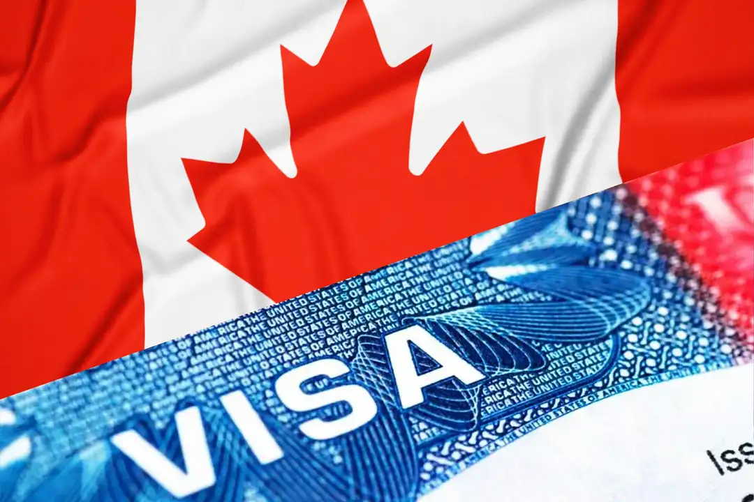 Gần Năm Triệu Visa Canada Sắp Hết Hạn Trong Năm 2025